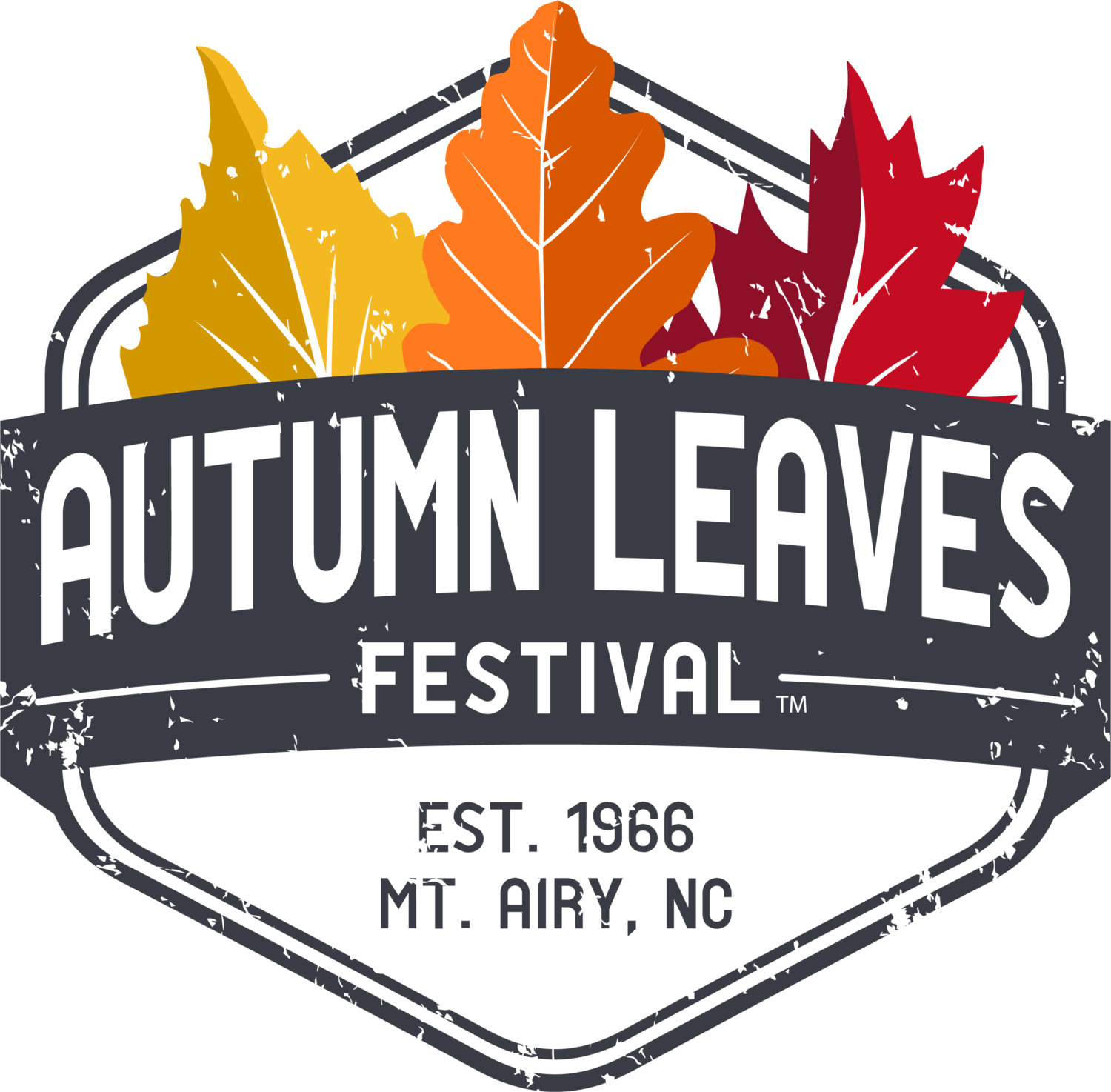 Autumn Leaves Festival™ Top 20 Events in the Southeast